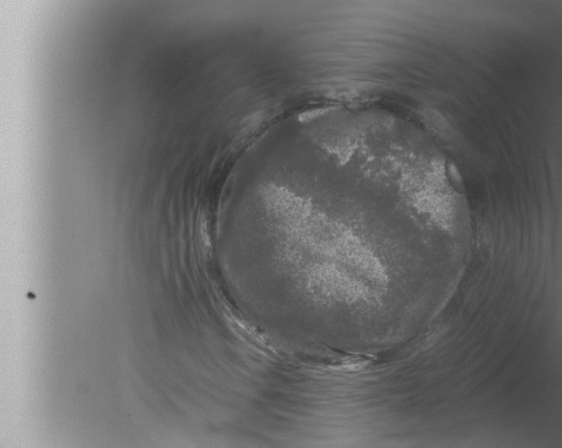 X0000080161106200612302146