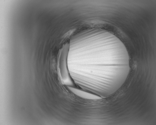 X0000080161108200612302146