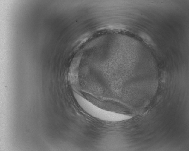 X0000080161110200612302146