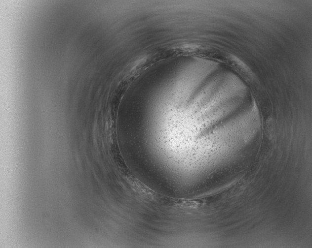 X0000080161111200612302146