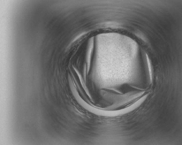 X0000080161112200612302146