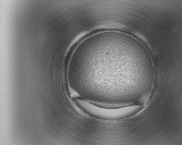 X0000080161114200612302146