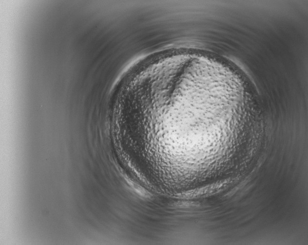 X0000080161115200612302146