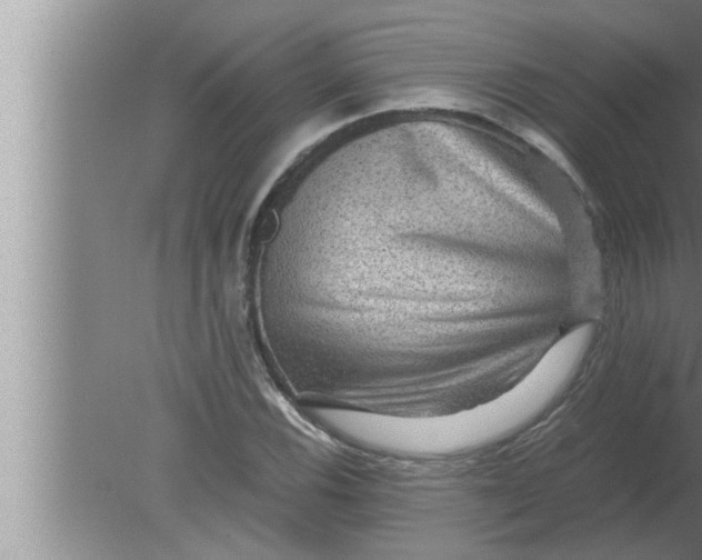 X0000080161116200612302146