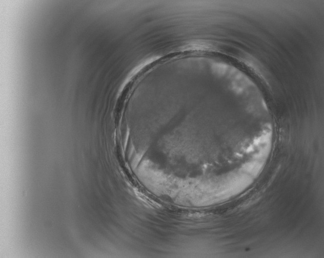 X0000080161117200612302146