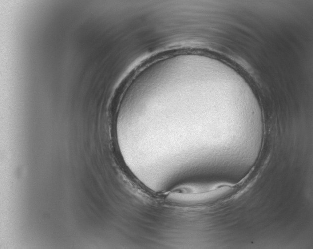 X0000080161118200612302146