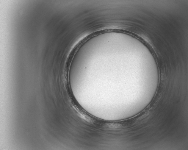 X0000080161119200612302146