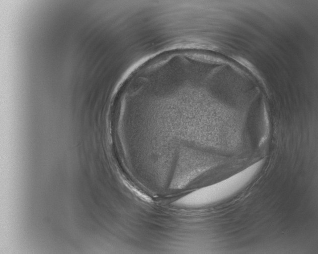 X0000080161120200612302146