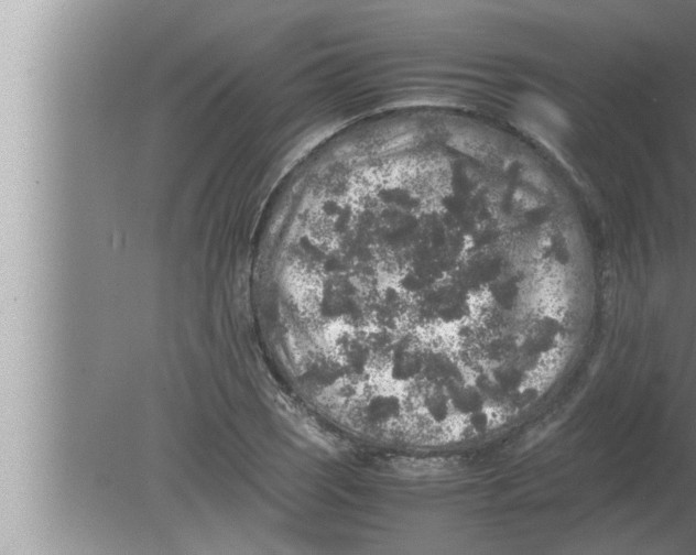 X0000080161121200612302146