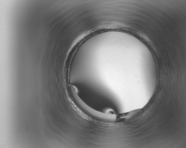 X0000080161122200612302146