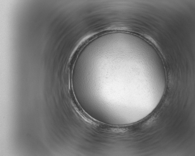 X0000080161123200612302146