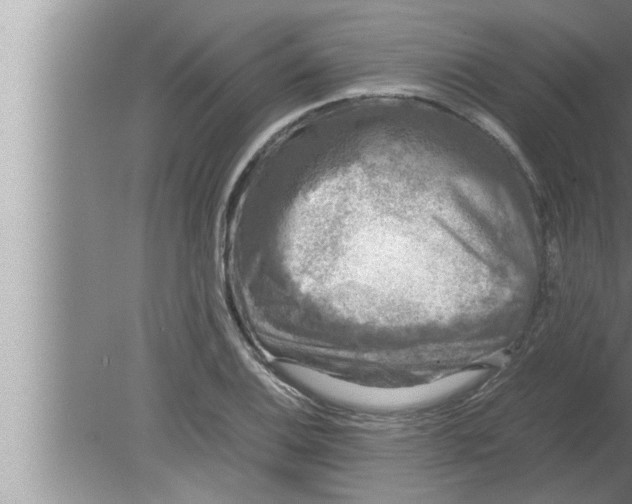 X0000080161124200612302146