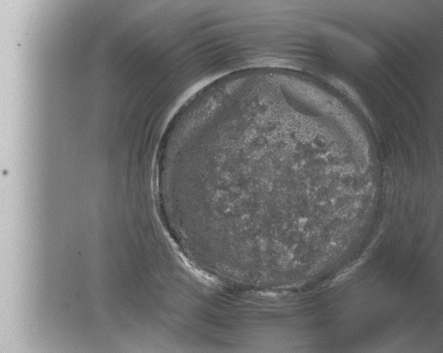 X0000080161125200612302146