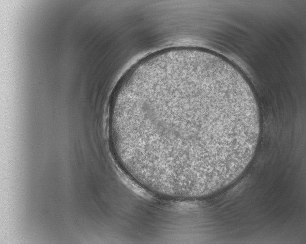 X0000080161126200612302146