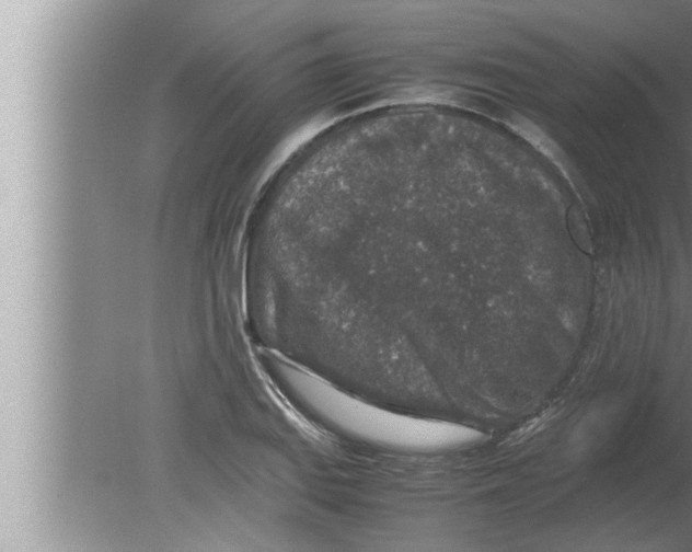 X0000080161127200612302146