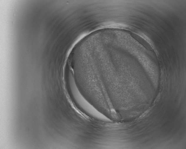 X0000080161128200612302146