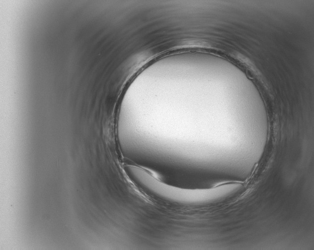 X0000080161129200612302146