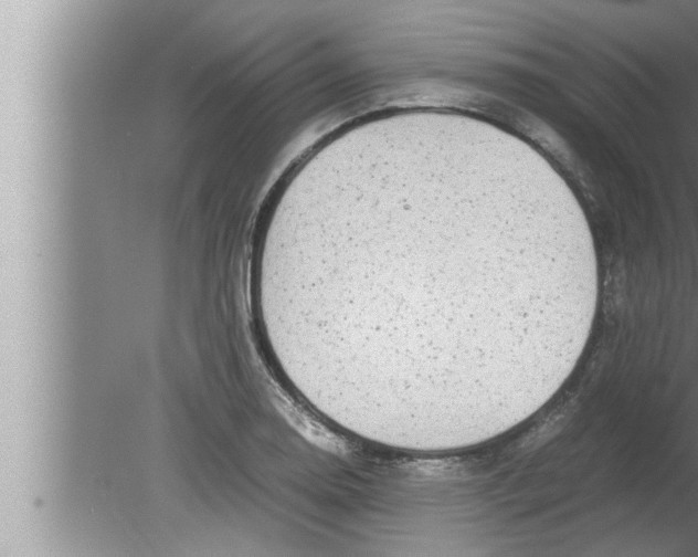 X0000080161130200612302146