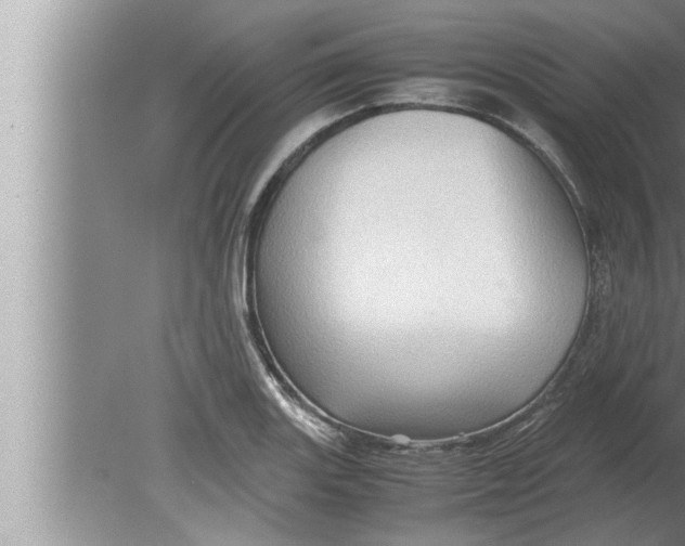 X0000080161131200612302146