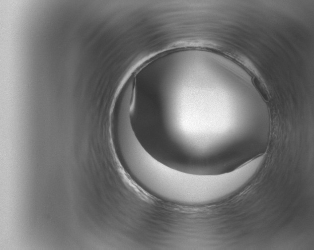 X0000080161132200612302146