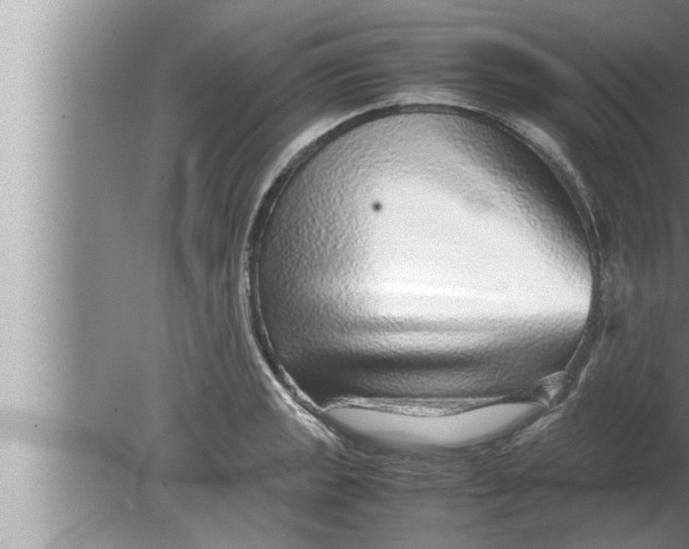 X0000080161133200612302146