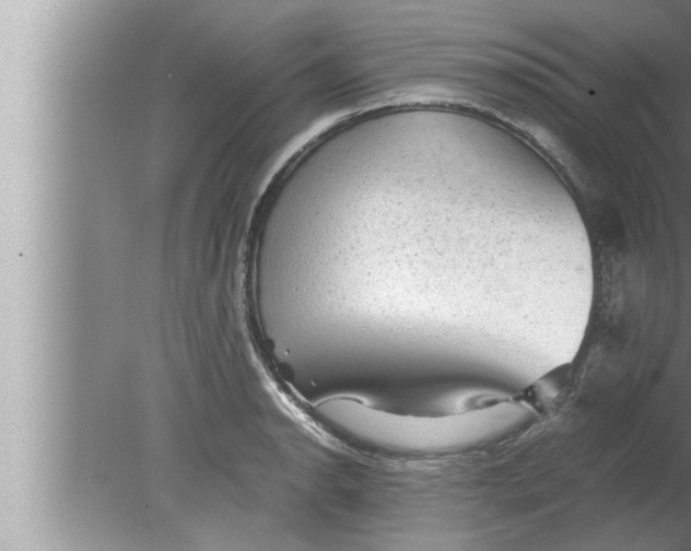 X0000080161134200612302146