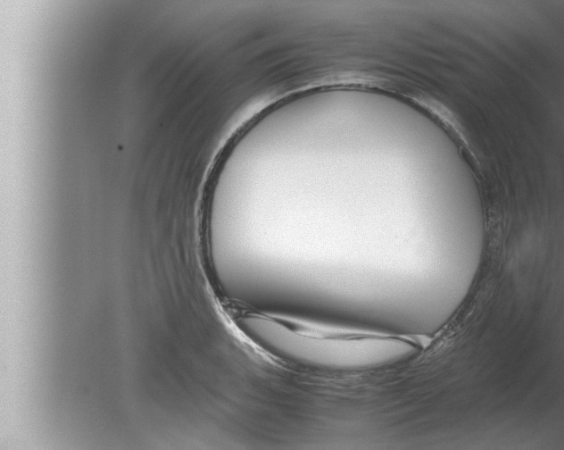 X0000080161135200612302147