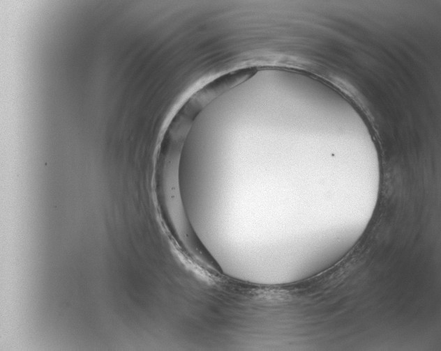 X0000080161136200612302147