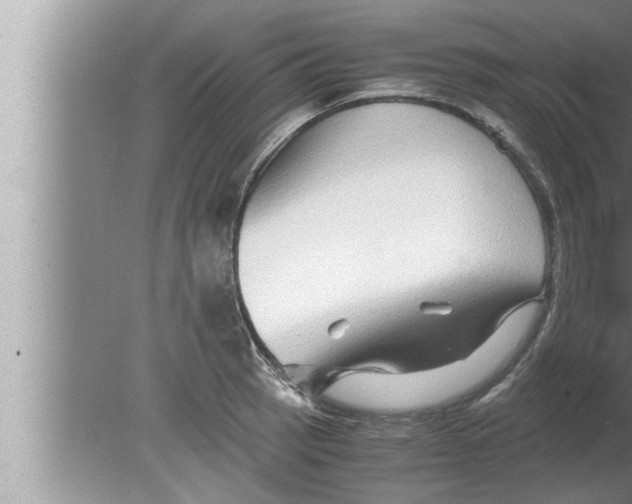 X0000080161137200612302147