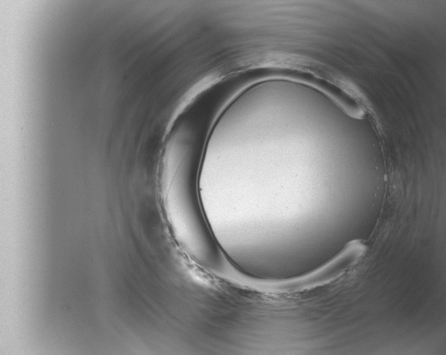 X0000080161138200612302147