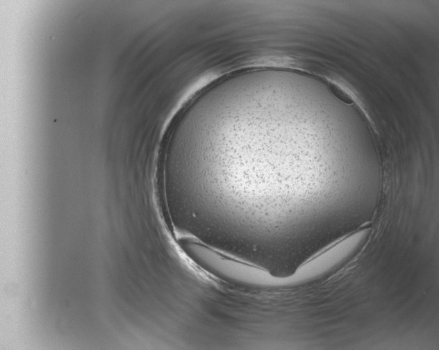 X0000080161139200612302147