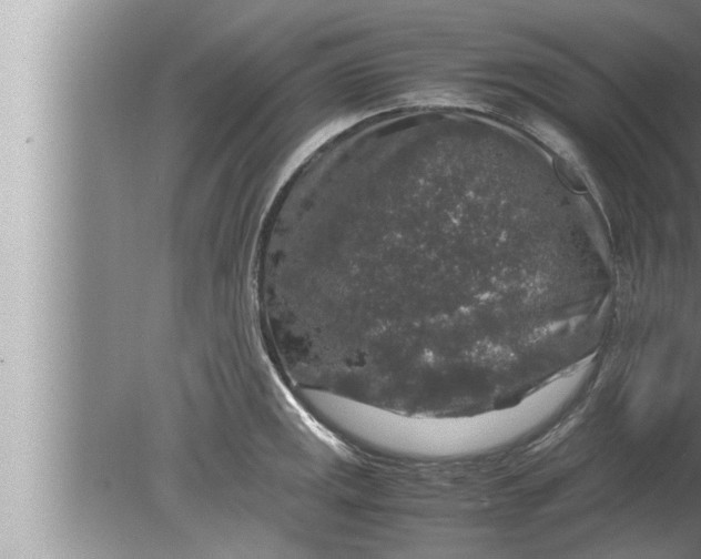 X0000080161141200612302147