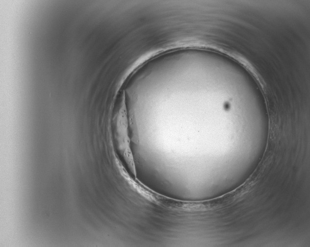 X0000080161142200612302147