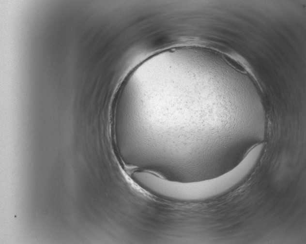 X0000080161143200612302147