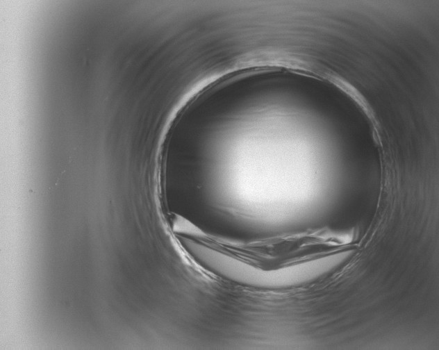 X0000080161144200612302147