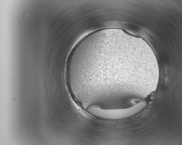 X0000080161147200612302147