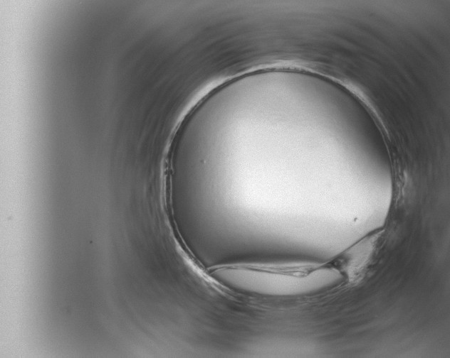 X0000080161151200612302147