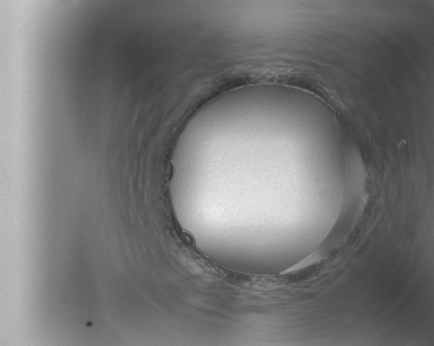 X0000080161153200612302146