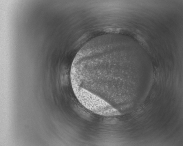 X0000080161154200612302146