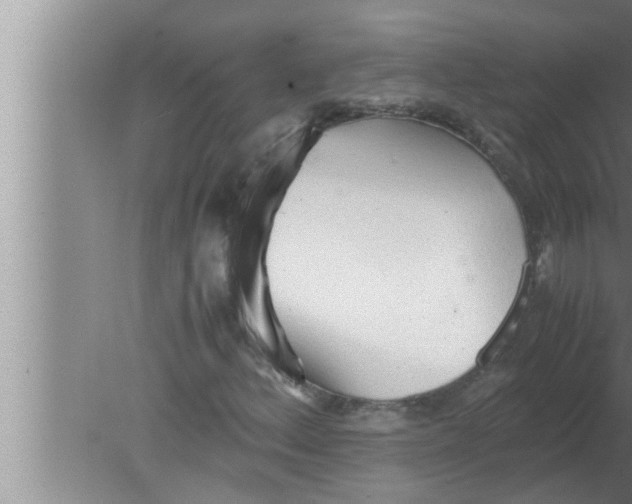 X0000080161156200612302146