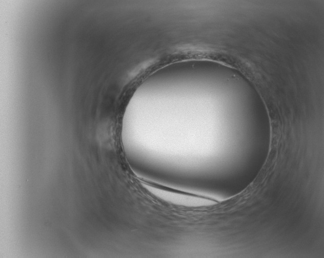 X0000080161157200612302146