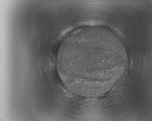 X0000080161158200612302146