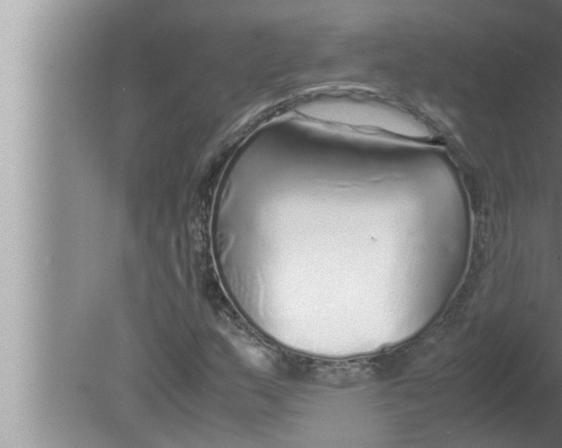 X0000080161159200612302146