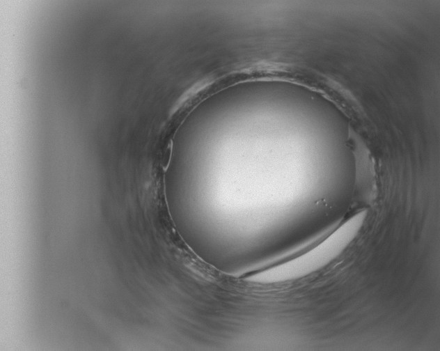 X0000080161160200612302146