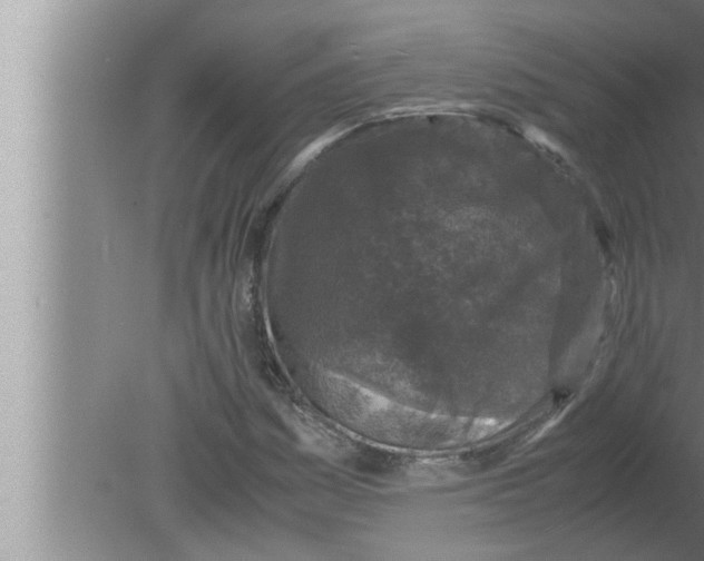 X0000080161161200612302146