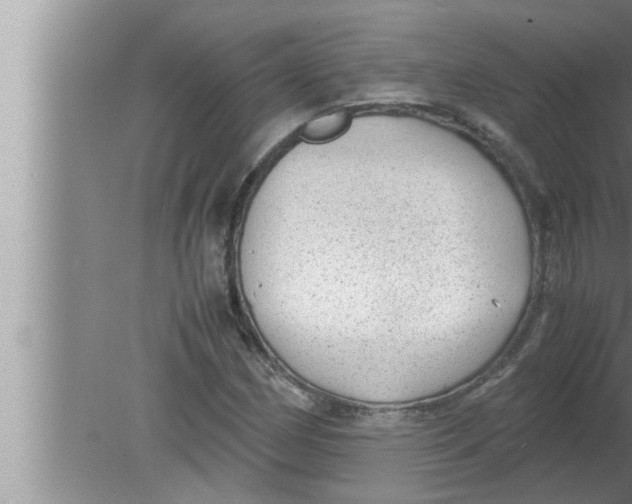 X0000080161162200612302146