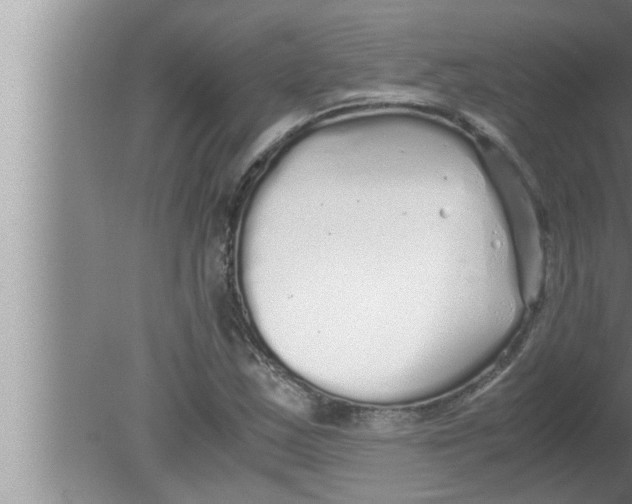 X0000080161163200612302146