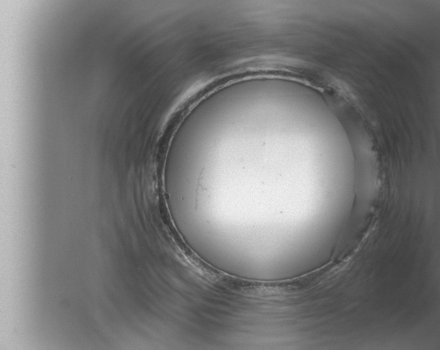 X0000080161164200612302146