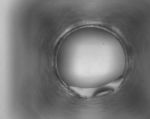 X0000080161165200612302146