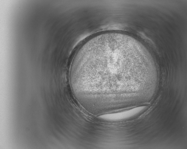 X0000080161166200612302146